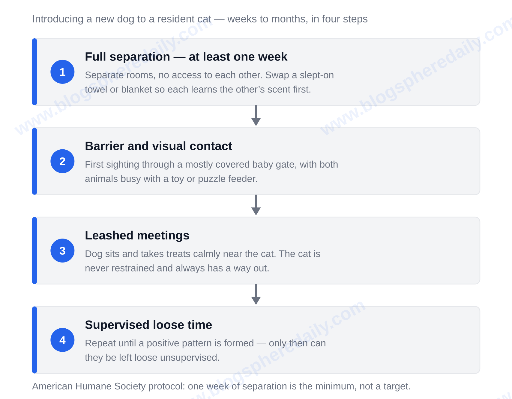 Four-step introduction protocol: full separation for at least one week, barrier and visual contact, leashed meetings, then supervised loose time — dog and cat